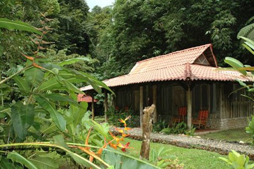 Esquinas Rainforest Lodge 003